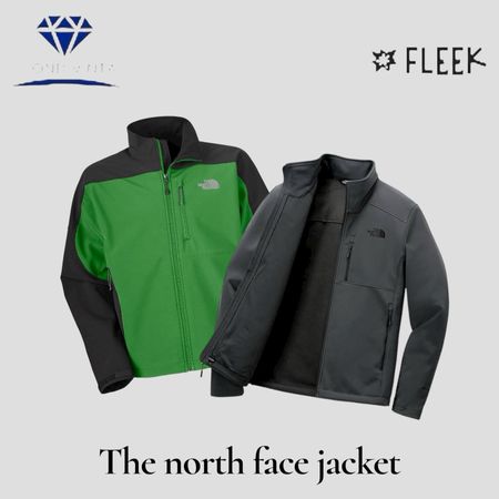 The north face jacket (DV -10-371)