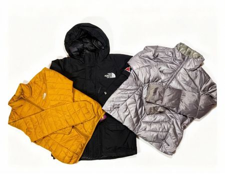 Die North Face Pufferjacke (FF 1095)