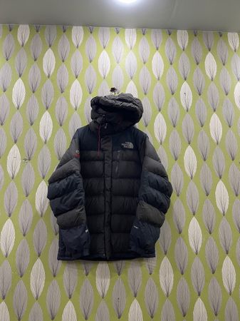 The North Face puffes Jackets