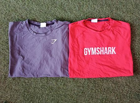 Maglietta Gym shark (2791)