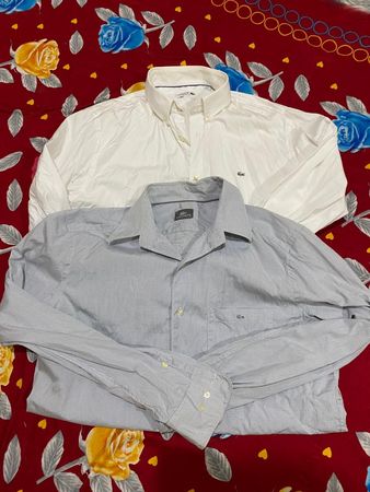 Lacoste  Shirts