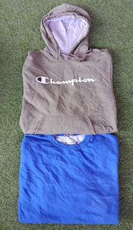 Champion Hoodies/sweatshirt 10Pcs (2970)