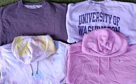 Champion hoodies/sweatshirt 10Pcs (3002)