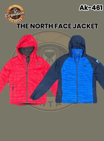 La chaqueta north face Ak-461