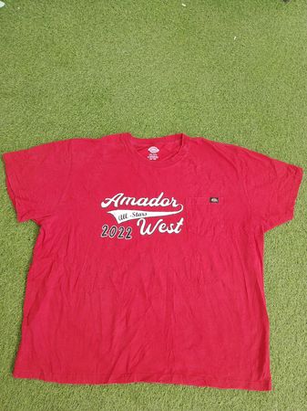 Dickies オーバーサイズ Tシャツ