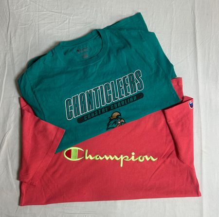 Champion T-shirts WR_0282