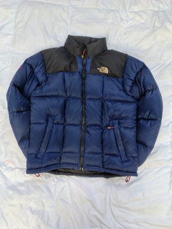 Tnf 800 premium puffer