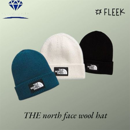 Les casquettes en laine The North Face (DV -11-281)