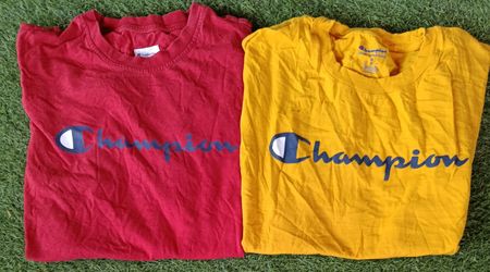 Champion T-Shirts 14Pcs (3194)