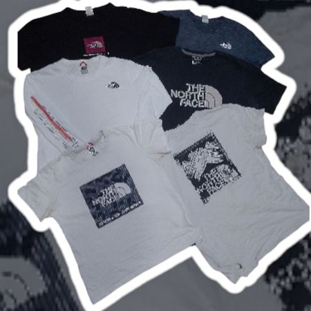 CAMISETA THE NORTH FACE