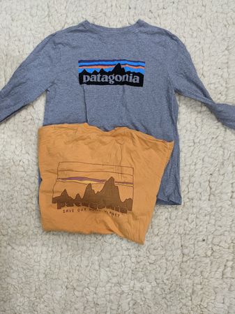 Patagonia T-Shirts