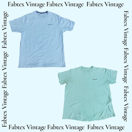 (FV-602) Patagonia T-Shirt
