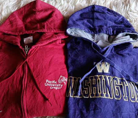 Champion Hoodies (11) pcs 3355