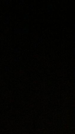 Camisas de botón Ralph Lauren elegidas a mano personalizadas (solo lisas y rayas)