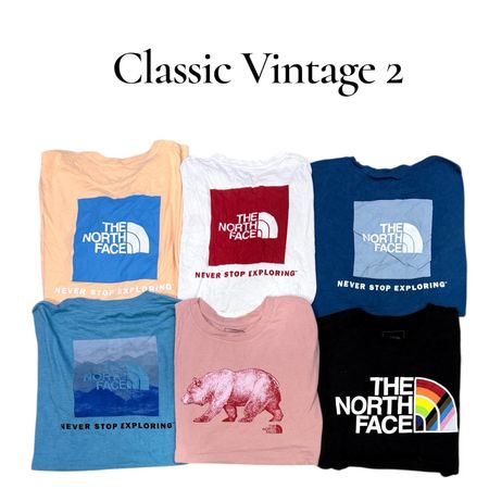 The north Face T shirts