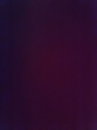 Custom handpick Moncler Puffer Jacket