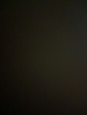 Choix personnalisé de 60 pantalons Ed Hardy