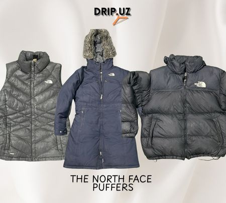The North Face Puffer Jackets