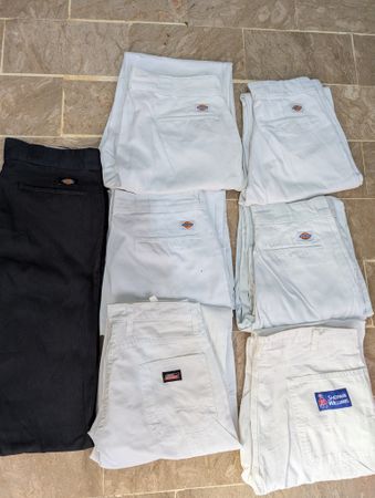 Dickies Pant 7pcs
