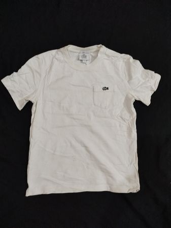 Lacoste T-Shirts