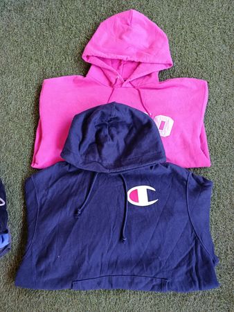 Champion hoodies 10pcs (3813)