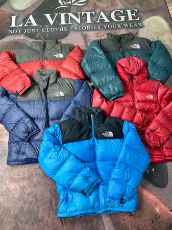The north face puffers