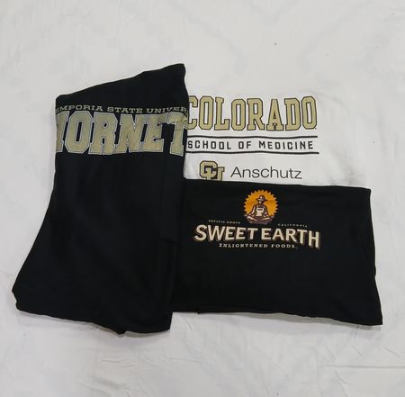 CRZ1307  Champion Hoodie Mix