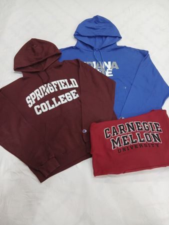CRZ1310  Champion Hoodie Mix