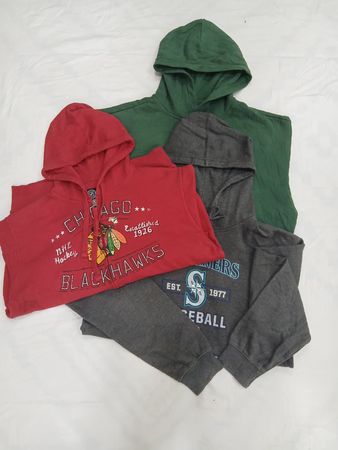 CRZ1320  NFL / NHL / NBA Hoodie Mix