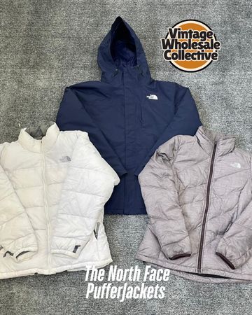 The North Face Puffer Jackets - (31/12)
