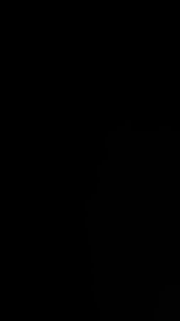 Custom handpick TNF Puffers