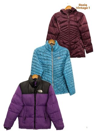 RV1604 The North face Puffer Jackets