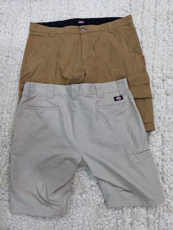 Dickies Shorts Mix