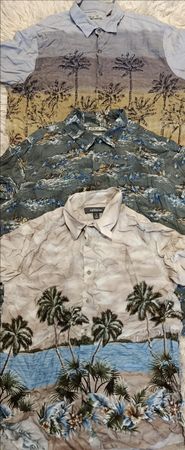 Camicia hawaiana 17Pcs (RV # 012)