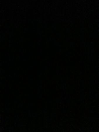 Pantalones Dickies seleccionados a mano personalizados