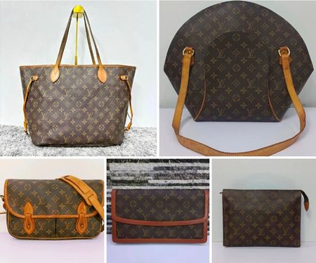 Louis Vuitton Bundle of 5 Bags