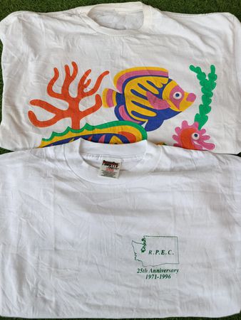 Single Stitch white t-shirt 8Pcs (RV # 047)