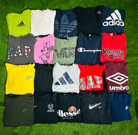 Felpe con cappuccio di marca 20 pezzi