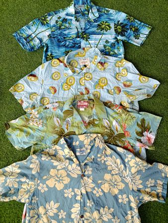 Hawaiian shirt 17Pcs (RV # 059)