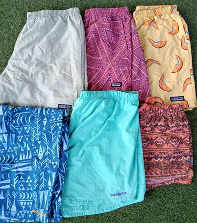 Patagonia shorts  (RV #050)