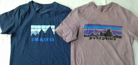 CR6050 Vintage Patagonia T-Shirts