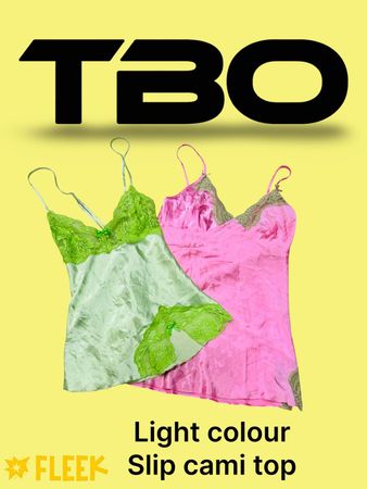 Light Colour Silk Slip Camitop    (TBO-147)