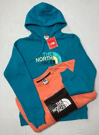 The north face sweatshirt WR_0693