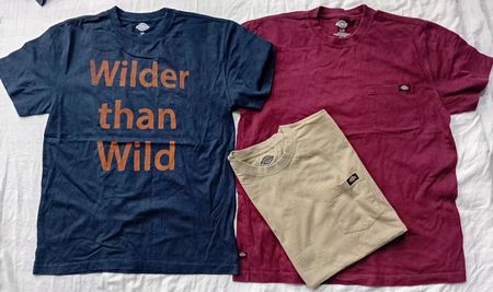 CR6122 Dickies Men’s T-Shirts