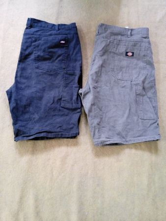 Dickies Denim Short