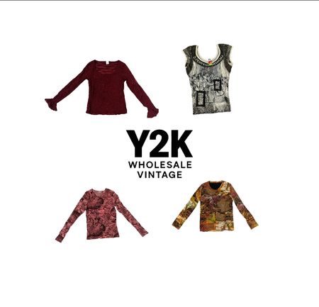Y2K European Mesh Long sleeve Tops with save queen (YWV66)