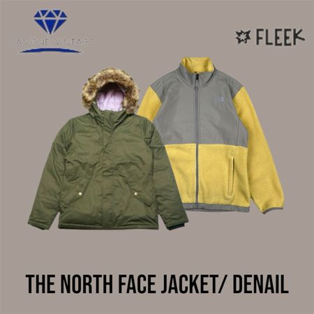 The north face Jacket (DV-01-477)