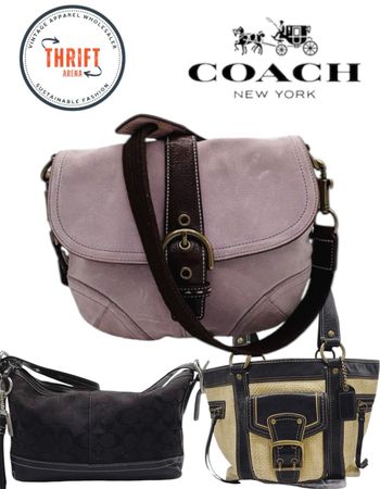 LX305 Premium Coach Bags