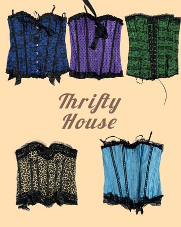 Victorian Nights Y2k Corsets(TH/169)