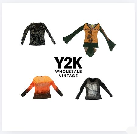 Y2K European Mesh Long sleeve Tops with save queen (YWV78)
